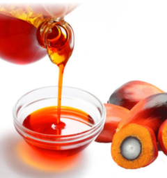 Palm Kernel Oil and health benefits<